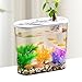 Gralara Tank Aquarium Small Fish Tank Easy to Clean Breeding Tank Fish Bowl Terrarium for Living Room Office Hermit Crabs Snake Frog, White Lid