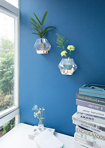 Mkono 2 Pack Wall Hanging Plant Terrarium Glass Planter for Home Office Christmas Decor, Hexagon Shape, Large