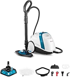 Polti Vaporetto Smart 100_B, Steam Cleaner, unlimited autonomy, high pressure boiler 4 Bar, kills and eliminates 99.99% * of viruses, germs and bacteria, 9 accessories