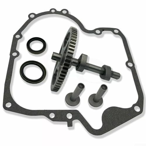 Yuanpgky Kit de árbol de levas para 793880 – Juego de repuesto compatible con 793583, 792681, 791942, 795102 y 697110 para motores de cortacésped, construcción de metal, 12 x 12 x 12 pulgadas