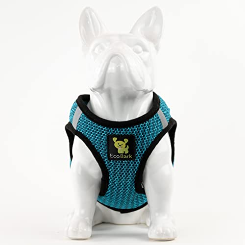 Ecobark Step In Dog Harness - Eco-Friendly Small Breed Dog Harnesses For Xs And Small Dogs - Reflective And Adjustable Mini Body Halter Vest - Soft Mesh Toy Breed Harness (Aqua Blue, Small) #TOP3