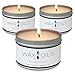 Scented Candles (Attraction, Adventure & Excitement) Soy Wax Aromatherapy, 8oz (Pack of 3)