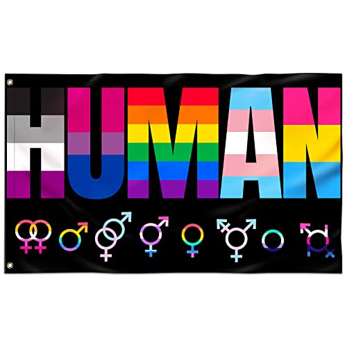 Bandeira de orgulho de 9,5 x 15,2 cm ao ar livre orgulho gay bandeira de arco-íris cores vivas e à p