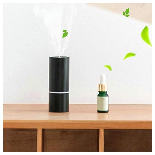 Luftfräschare för bil, bärbar mini-USB-aromdiffusor, luftfuktare, eteriska oljor, luftrenare, doftande oljediffusorer för bil, kontor, hem, hotell och klubb (svart)