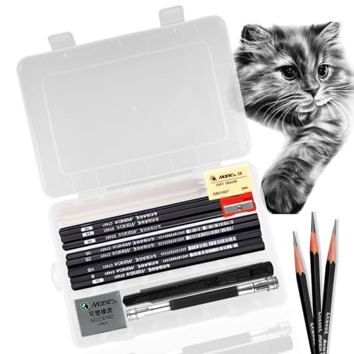 oupados direct 24 matite da disegno, matite da disegno, matite da disegno, estensore, gomma, taglierina per disegno, schizzi, adulti, amanti dello schizzo (2H - 8B)