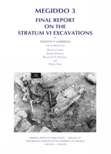 Megiddo 3: Final Report on the Stratum VI Excavations (Oriental Institute Publications)