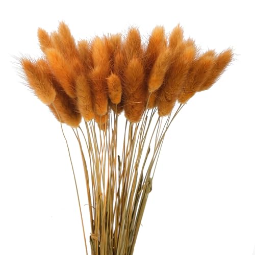Dried Pampas Grass Décor 50Pcs 17.72 in Natural Orange miniatura 1