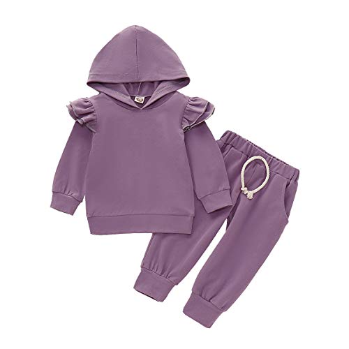 Baby Girls Long Sleeve Hoodie Sweatshirt Tops Pants Set 2Pc Toddler Hooded Shirt Fall Coming Home Outfit Clothes (Purple , 12-18 Months )