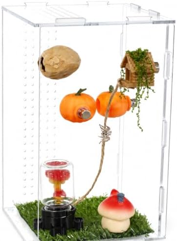 4 Pack Jumping Spider Enclosure Accessories Jumping Spider Hide with Pumpkin Walnut Spider Hide, Spider House with Climbing Rope Magnetic Spider Enclosure Decor for Spider Terrarium — 사진 4