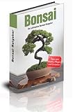  Der ultimative Bonsai-Ratgeber