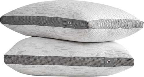 ACCURATEX Pillows Queen Size Set of 2, Rayon Derived from Bamboo Removable Cover, Shredded Memory Foam Pillow with Down Alternative Fill (Adjustable), Supportive Pillows for Side Back Sleepers
