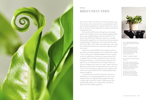 Terrain: The Houseplant Book: An Insider's Guide to Cultivating and Collecting the Most Sought-Afte