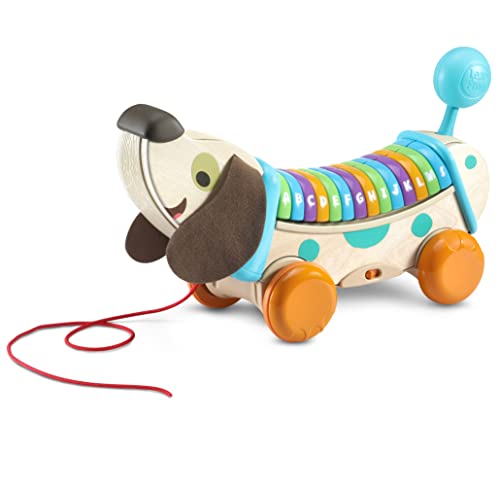 Juguete de arrastre VTech Eco Perrito para motivar a caminar a bebés de 12 meses
