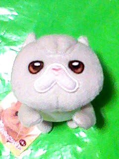 Amazon 猫のマッシュ おでかけしマッシュ ぬいぐるみ A 11cmマスコット アニメ 萌えグッズ 通販