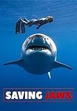 Gravitas Ventures
