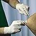 GLOVEPLUS AMMEX White Latex Disposable Exam Gloves, 4 Mil, Powder-Free, Food-Safe, Lightly-Textured, Non-Sterile, Medium, Box of 100