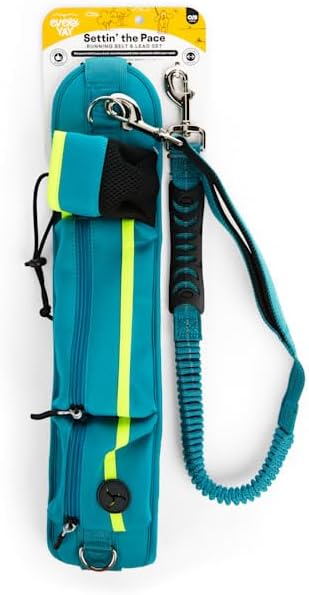 Miniatura 10 de EveryYay by Petco Settin' The Pace - Juego de cinturón y correa para perros, color amarillo, 34 pulgadas de largo y 1.5 pulgadas de ancho