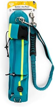 EveryYay by Petco Settin the Pace Running Belt & Leash Set for Dogs, Teal, 34-in Long, 1.5-in Wide