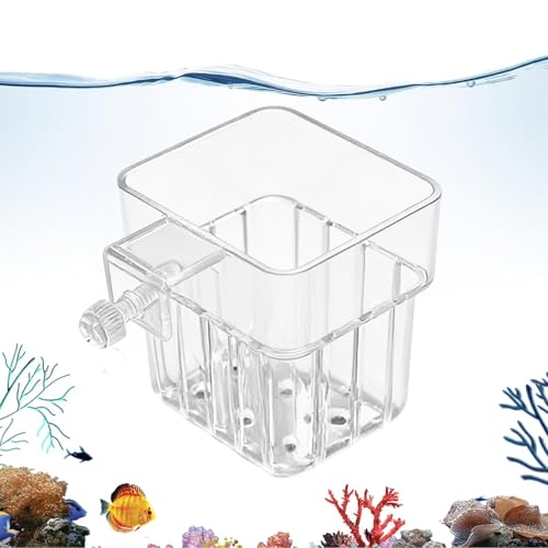 Genérico Portaplantas para Acuario - Maceta Colgante Transparente | Soporte Colgante para Plantas Acuáticas - para Hidropónico de Pecera, Cultivo Doméstico y Decoración de Interiores y Oficina