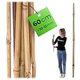 Produit naturel : le bambou est un matériau naturel. De légères taches sombres/des marques et des différences de couleur (particulièrement aux nœuds) peuvent être naturelles ou résulter du séchage et ne sont pas un défaut de qualité.