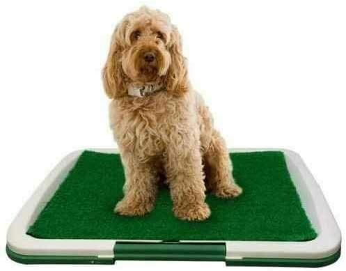 GLY Dog Toilet Mat Indoor Training Grass Potty Pad Tray Large Puppy Indoor Dog Toilet Mat Potty Tray Training Grass Restroom with Tray and Loo Pad 47 x 34 x 6 CM, Green