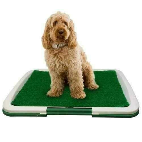 GLY Dog Toilet Mat Indoor Training Grass Potty Pad Tray Large Puppy Indoor Dog Toilet Mat Potty Tray Training Grass Restroom with Tray and Loo Pad 47 x 34 x 6 CM, Green