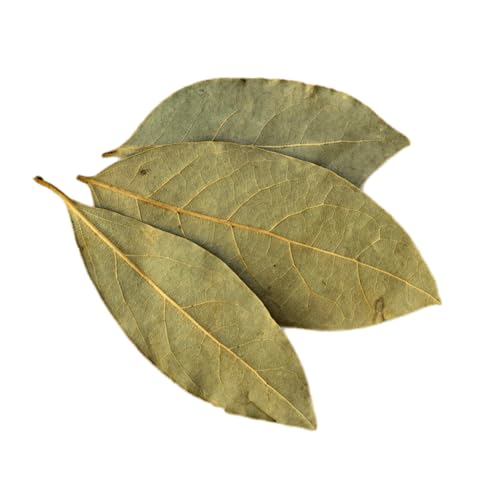 Genérico, Muda de Louro 50 a 80cm AMK - Plantas Online