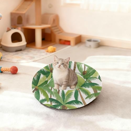 Lit d'été en forme de cocotier pour sieste de petit chat