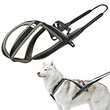Duuclume Harnais pour chien de traîneau réglable sur la poitrine et le dos, harnais robuste en nylon épais et rembourré, harnais anti-traction pour dressage et quotidien (L)