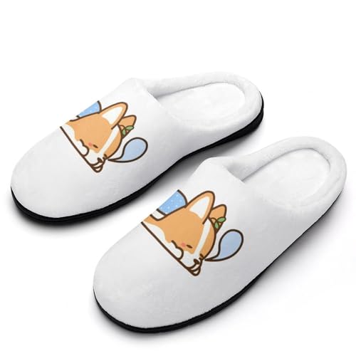 [ZKCASA] Xbp 킢 R[M[ [V[Y   qp h  g 􂦂 ~ jp I[V[Yp 9-10i40-41j