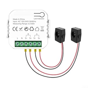 Ranrao Dual Channel WiFi Energiezähler 2CT
