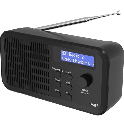 DAB+ Radio mit Akku und Netzbetrieb – Die 15 besten Produkte im ...