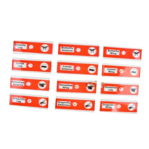 Gatuida Kids Microscope Accessories 12pcs Plastic Slides Prepared Specimens Set