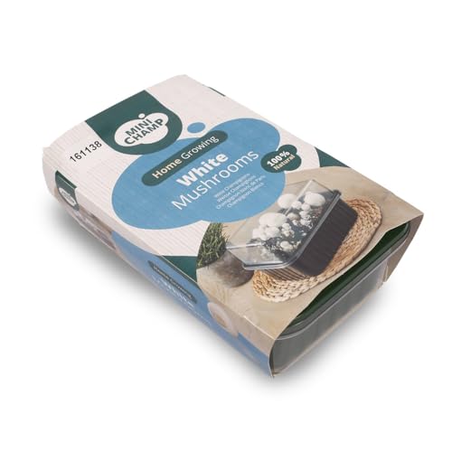 YouGarden White Mushroom Growing Kit 3 Litre. Grow Your Own Mushrooms Kit. Gardening Gifts for Women, Men and Kids. Mushroom Grow Kit Perfect As A Gift and for Beginners. Gift Ideas for Family.