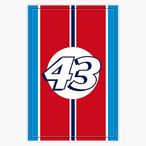 Pack of 4-3 Inch - Richard Petty 43 Racing Design