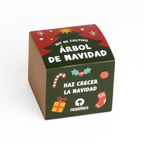 Kit Árvore de Natal – Cultive o seu próprio pinho em casa | Presente original e sustentável para se conectar com a natureza.