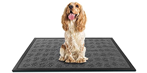 Aucuda Robuste Fußmatte für drinnen und draußen, große Welcome-Matte, Winter-Fußmatte, 6 x 91 cm, Fußmatte für Eingang, rutschfest, wasserdicht, grau abwischbar Cover