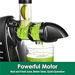 Slow Masticating Juicer,Brecious Cold Press Juicers with 2 Speed Modes & Quiet Motor,Juicers Machines Vegetable and Fruit with Reverse Function,Celery Juicer,BPA-Free,Easy to Clean (Black) - Image 3