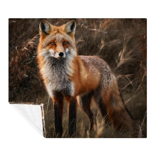 \t@pX[uPbgApuPbg,LclԂX uPbgA59x51.1C`