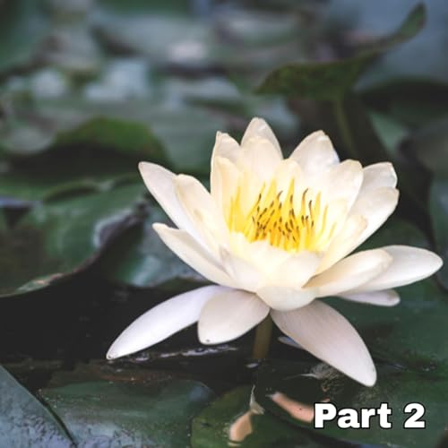 Returning to Yourself: Embracing Authenticity, Renewal, and Reflecting on Your True Essence