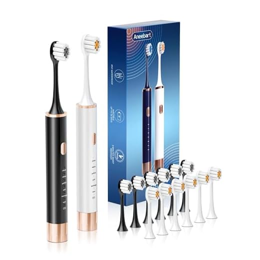Aneebart Sonic 2 Pack Electric Toothbrush for Adults, Travel Toothbrush Includes 12 Replacement Toothbrush Heads, 6 Modes with 2 MIN Smart Timer (Black White)