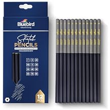BLUEBIRD Sketch Pencils Set of 12 2H8B Drawing Pencils for Sketching, Art Supplies for Adults & Teens, Ideal for Drawing Art, Sketching, Shading