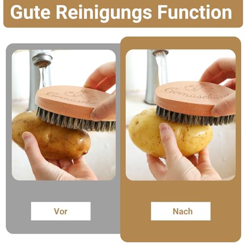 SEPGLITTER Gemüsebürste, 11 * 6cm Spülbürste Holz Gemüsebürste Holz für Kartoffeln Karotten Obst, Küchenbürste aus für Gemüse und Obst
