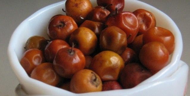 Heaven Of Saplings Jackal Jujube Plant Hybrid (Pack Of 1) MQ-1199 (B0CGQQTZDF) Amazon Price History, Amazon Price Tracker