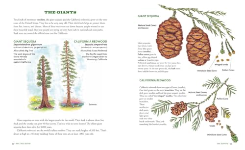 The Tree Book for Kids and Their Grown-Ups - Image 6