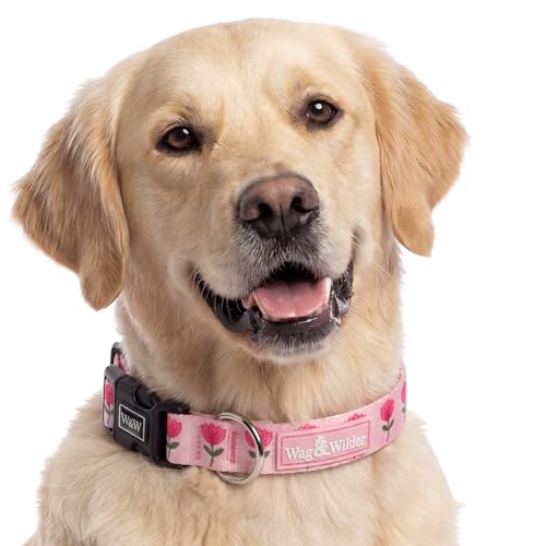 Image of Wag and Wilder Dog Collar and Leash Set Medium for Beagle, Pit Bull Terrier & Boxer - Heavy Duty Adjustable Collar & 5 FT Leash Combo, Jaipur Bloom Pink