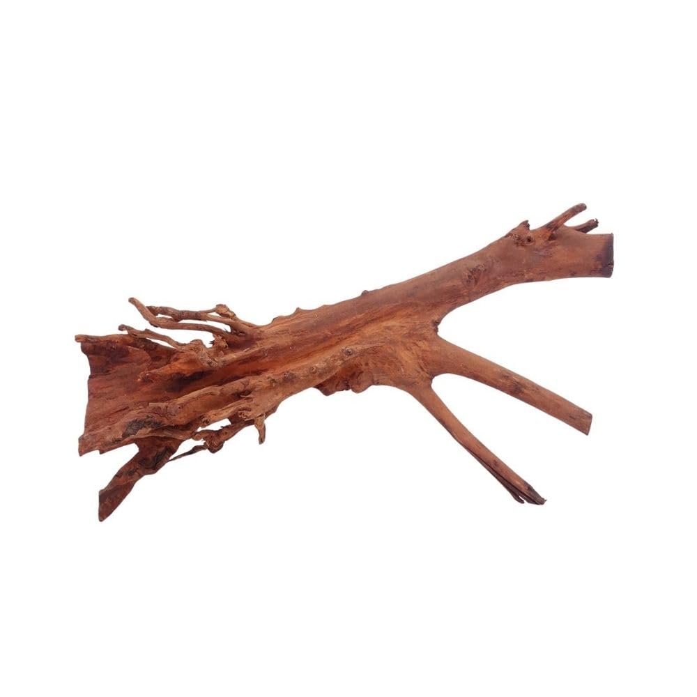 AquaOne Aquarium Wurzel M Jungle Wood Nr.4447 Aquarium Wurzel Holz Deko Aquascaping Dekoration Landschaft Moos Natur Echtholz