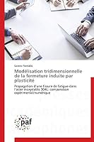 Moda(c)Lisation Tridimensionnelle de La Fermeture Induite Par Plasticita(c) 3838171020 Book Cover