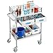 VEVOR Lab Serving Cart Utility Cart Stainless Steel Medical Cart with Two Drawers for lab Equipment Use Grade I Stainless Steel Utility Services (2 Shelves/ 2 Drawer)