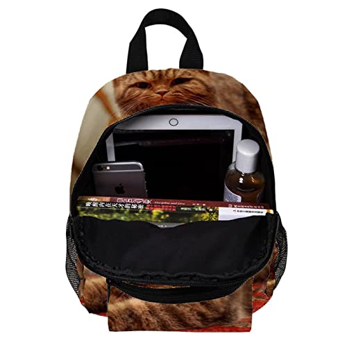 Sac à dos chat pour garçons et filles de 30,5 cm multicolore